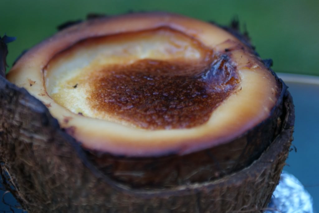 Coconut Crème Brulée