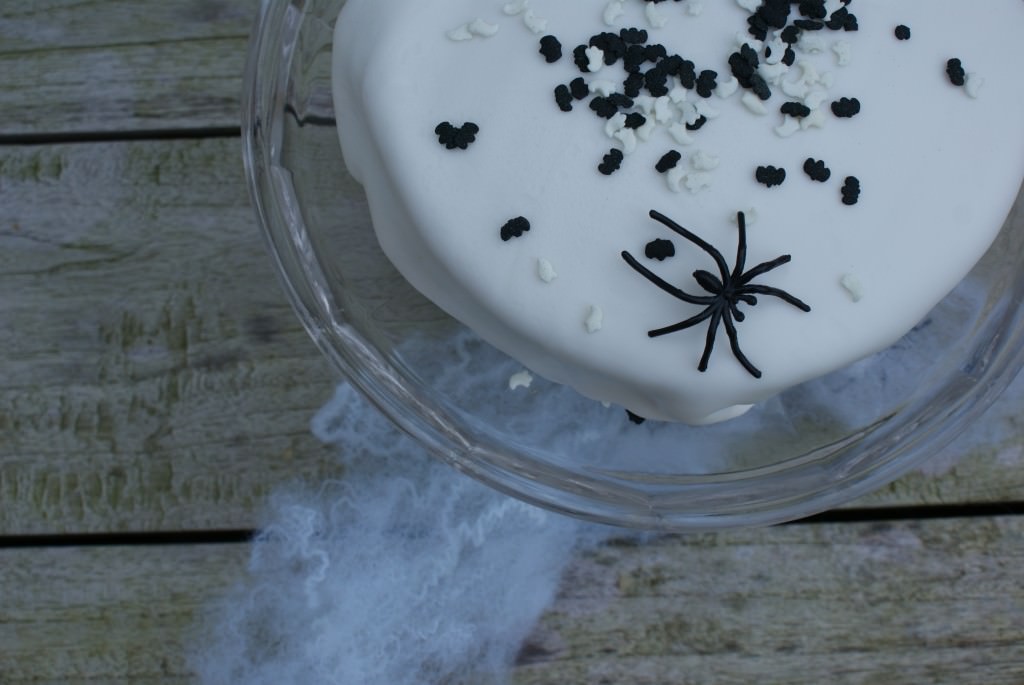 Halloween spider & bat cake