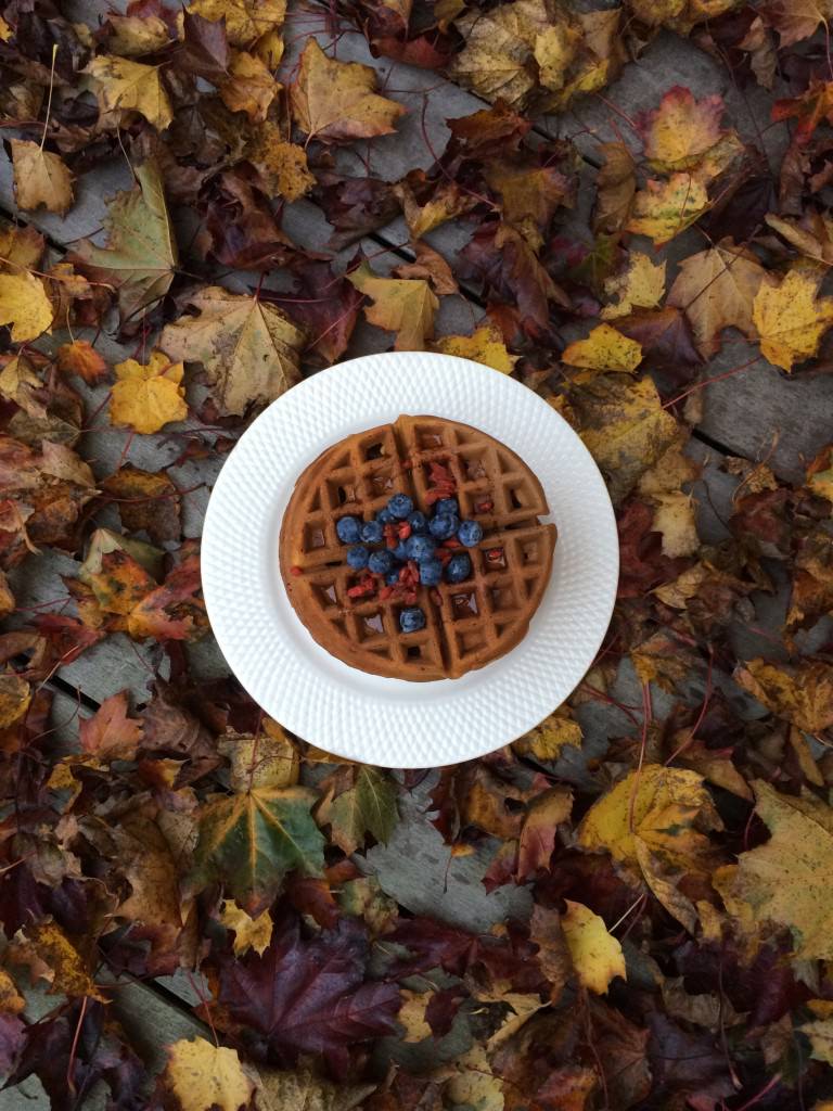 Pumpkin Waffles