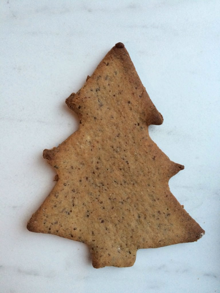 paleocookiestree.jpeg