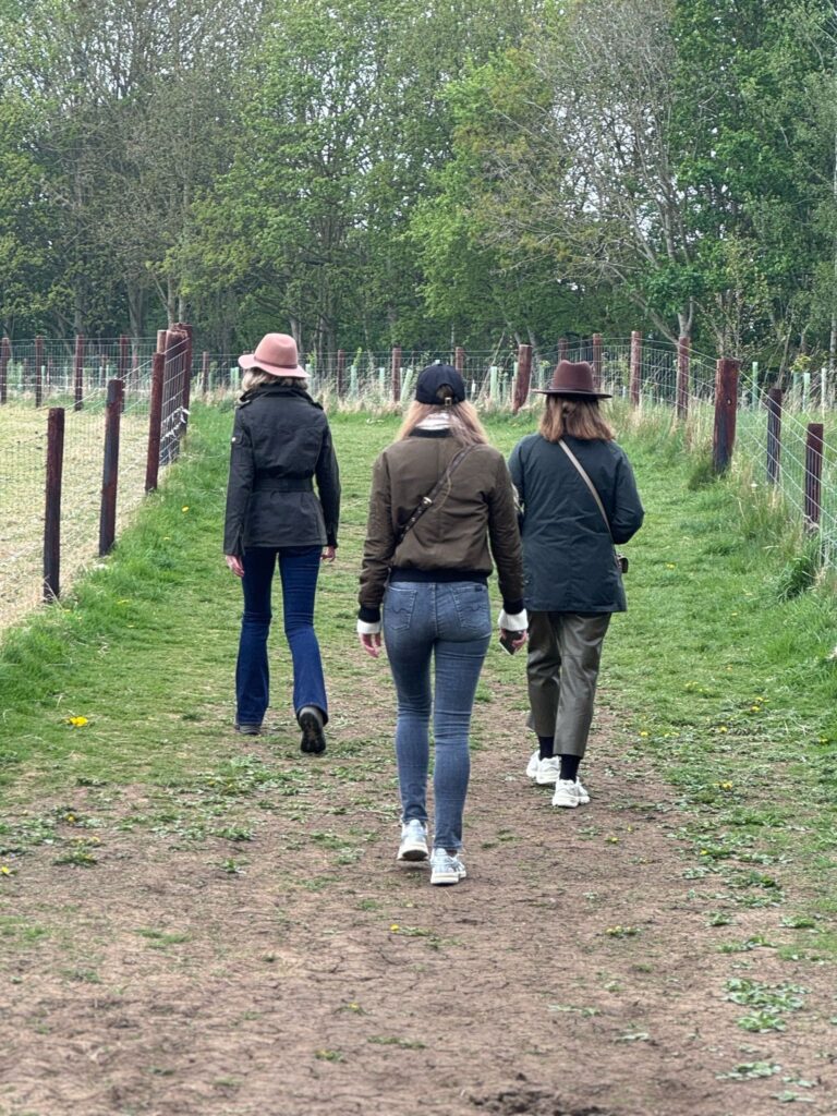 Cotswolds Calling